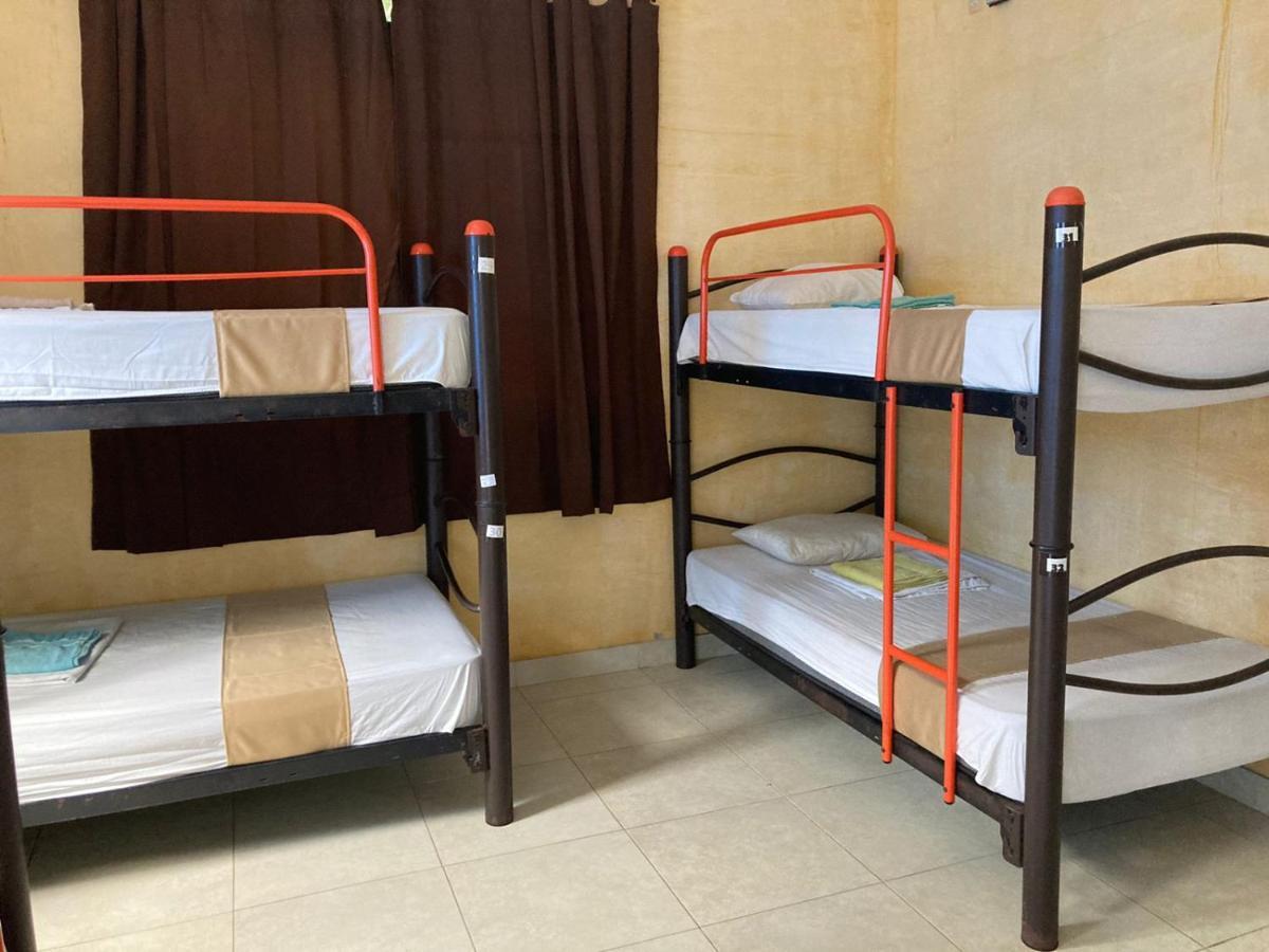 Hostal La Ermita Mérida Extérieur photo