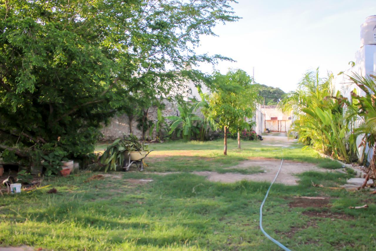Hostal La Ermita Mérida Extérieur photo